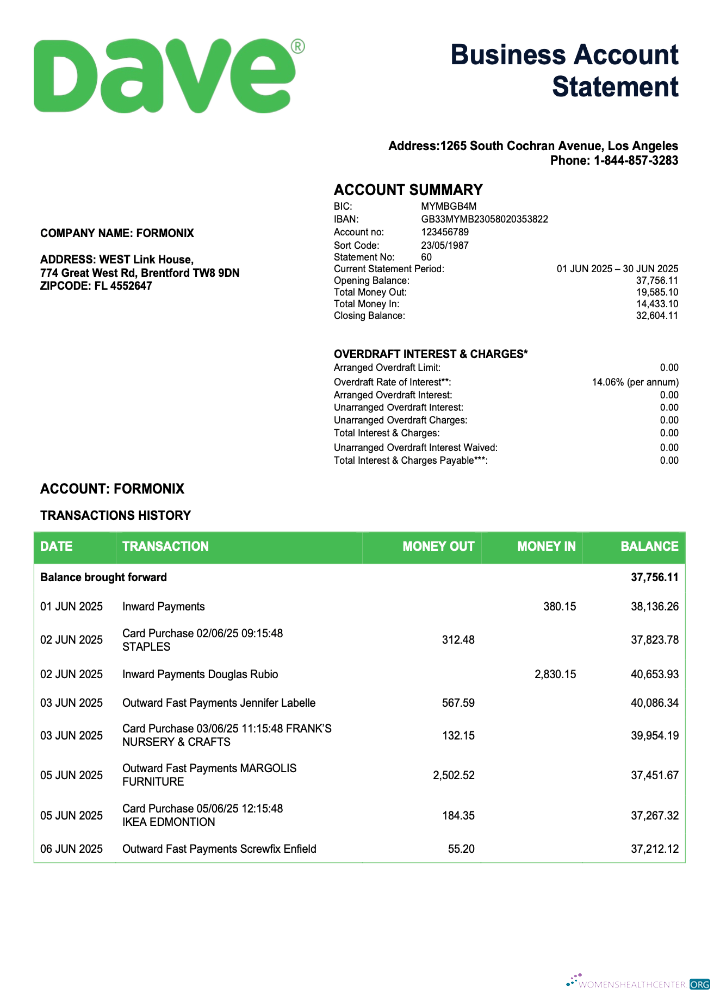 Download USA Dave firm checking account statement Word and PDF template Photoshop template